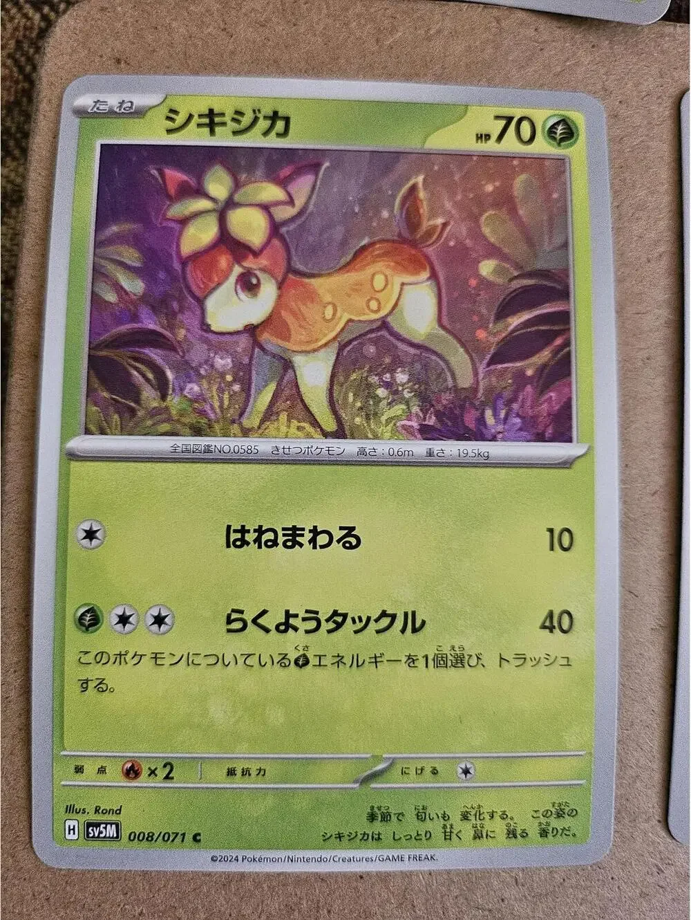 Deerling 008/071 C pokemon cards Japanese NM